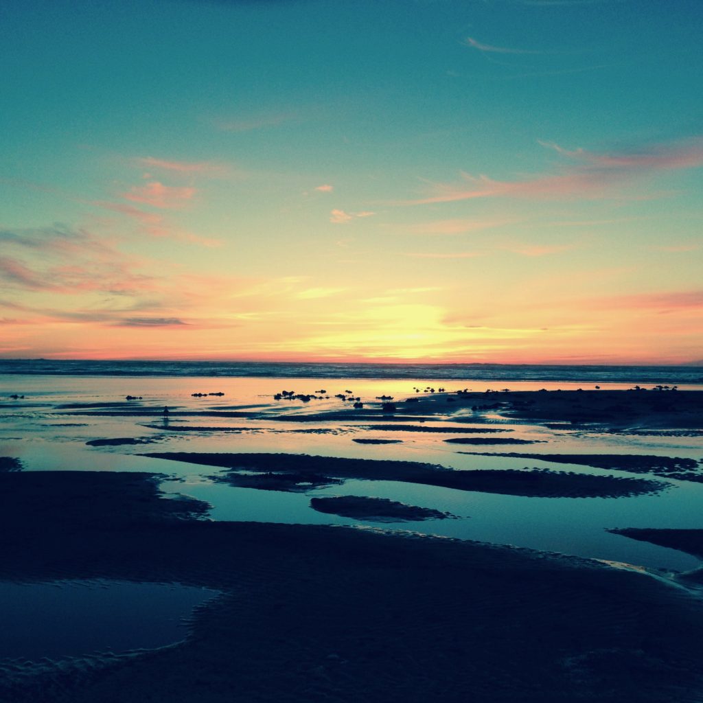 Ocean Shores Washington Explore Eugene Enjoy Oregon 